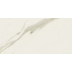 Плитка керамогранитная Blustyle Elite Calacatta 600x1200х9,5мм гладкая/матовая BGXEL00