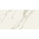 Плитка керамогранитная Blustyle Elite Calacatta 600x1200х9,5мм гладкая/матовая BGXEL00