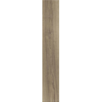 Плитка керамогранитная Blustyle Green Wood ASH naturale 200х1200х9,5мм структурная/матовая BG0GW00