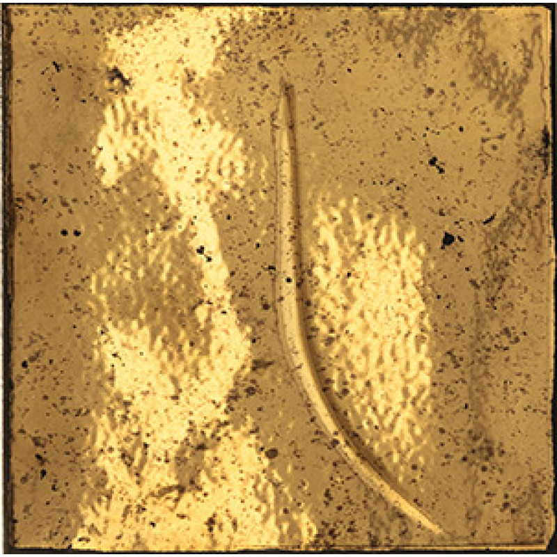 Плитка Iris Ceramica Bottega d`arte, декор Motivi Oro 150x150х10мм структурная/глянцевая, для стены 511044