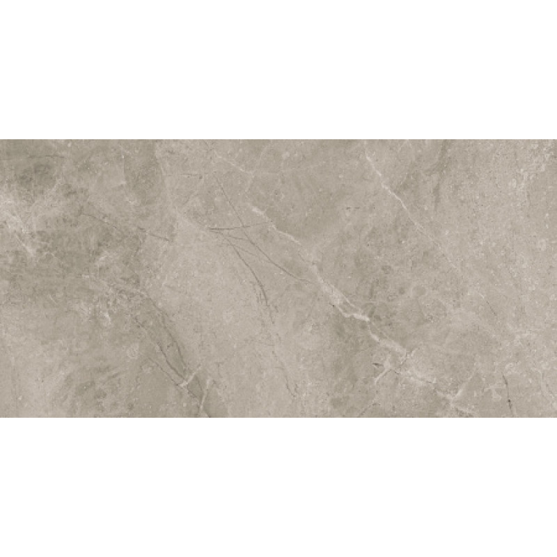 Плитка керамогранитная Blustyle Elite Fior di bosco 600x1200х9,5мм гладкая/матовая BGXEL20