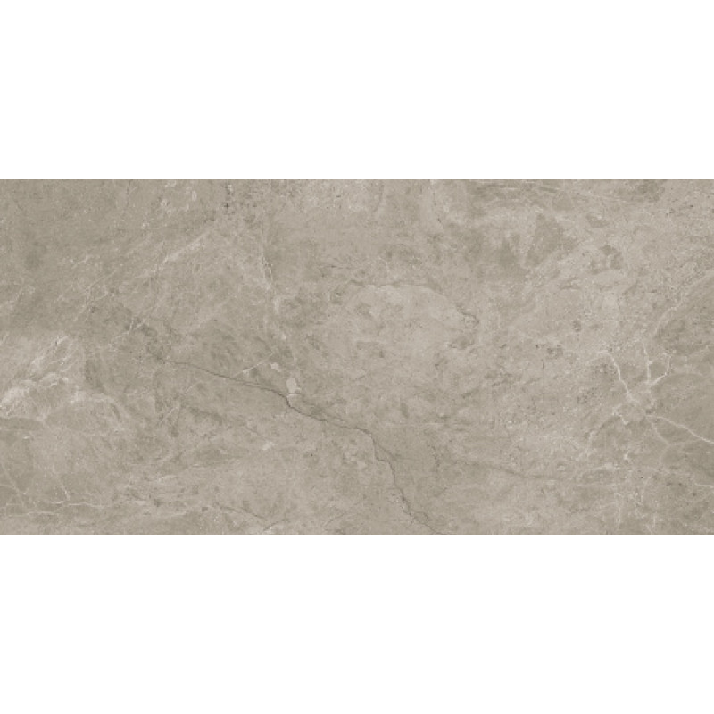 Плитка керамогранитная Blustyle Elite Fior di bosco 600x1200х9,5мм гладкая/матовая BGXEL20