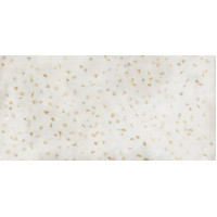 Плитка керамогранитная Refin Cera Incenso Luce + Incenso 600x1200х9мм гладкая/cerasilk RF41