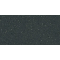 Плитка RAKO Compila Botanic 298x598x8мм гладка/матова, для стіни WAKVK863