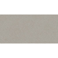 Плитка RAKO Compila Taupe 298x598x8мм гладка/матова, для стіни WAKVK867