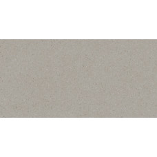 Плитка RAKO Compila Taupe 298x598x8мм гладка/матова, для стіни WAKVK867