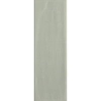 Плитка RAKO Compila Mint 98x298x8мм гладкая/глянцевая, для стены GARJD862