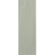 Плитка RAKO Compila Mint 98x298x8мм гладкая/глянцевая, для стены GARJD862