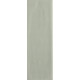 Плитка RAKO Compila Mint 98x298x8мм гладкая/глянцевая, для стены GARJD862