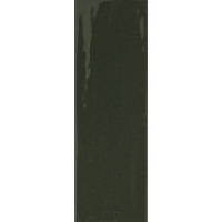 Плитка RAKO Compila Botanict 98x298x8мм гладкая/глянцевая, для стены GARJD863