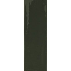 Плитка RAKO Compila Botanict 98x298x8мм гладкая/глянцевая, для стены GARJD863