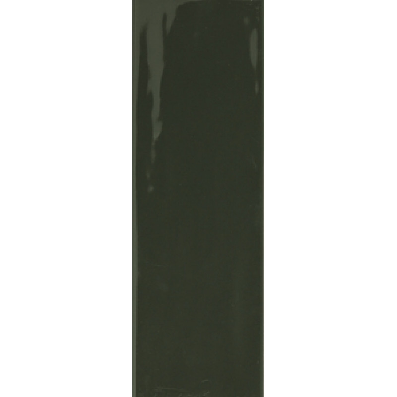 Плитка RAKO Compila Botanict 98x298x8мм гладкая/глянцевая, для стены GARJD863