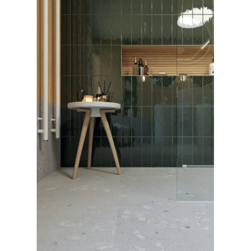 Плитка RAKO Compila Botanict 98x298x8мм гладкая/глянцевая, для стены GARJD863