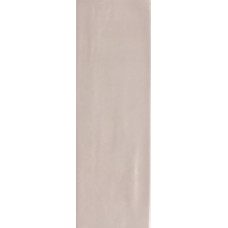 Плитка RAKO Compila Nude 98x298x8мм гладкая/глянцевая, для стены GARJD860