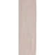 Плитка RAKO Compila Nude 98x298x8мм гладка/глянсова, для стіни GARJD860