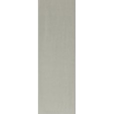 Плитка RAKO Compila Cement 98x298x8мм гладкая/глянцевая, для стены GARJD865