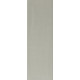 Плитка RAKO Compila Cement 98x298x8мм гладкая/глянцевая, для стены GARJD865