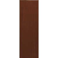 Плитка RAKO Compila Cotto 98x298x8мм гладка/глянсова, для стіни GARJD869