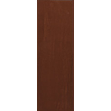 Плитка RAKO Compila Cotto 98x298x8мм гладкая/глянцевая, для стены GARJD869