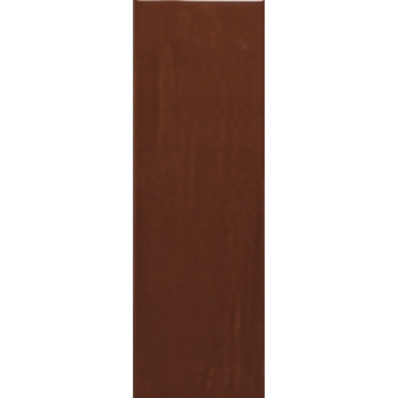 Плитка RAKO Compila Cotto 98x298x8мм гладкая/глянцевая, для стены GARJD869
