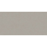 Плитка керамогранітна RAKO Compila Taupe 598x1198x10мм гладка/матова/ABS DAKV1867