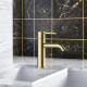Смеситель для раковины Bossini Teo-M Satined gold Z00701000043005