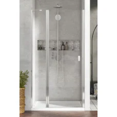 Душові двері RADAWAY Nes DWJ II door 110 L 10036110-01-01L