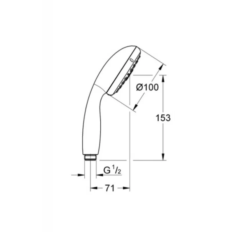 Душевая лейка Grohe New Tempesta 100 28261002