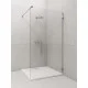Душевая перегородка RADAWAY Euphoria Walk- in W1 120 1200*2000 383114-01-01