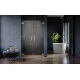 Душевая кабина Radaway Arta QL DWD 500х2000 L 10102507-03-01L