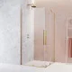 Душевая кабина Radaway Furo Gold KDD 800х2000 L 10105080-09-01L
