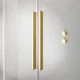 Душевая кабина Radaway Furo Gold DWD 538х2000 10108538-09-01