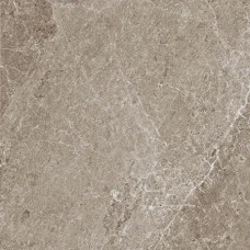 Плитка керамогранитная Blustyle Advantage Greige 600x600х9мм гладкая/матовая BGWAD20
