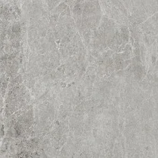 Плитка керамогранитная Blustyle Advantage Silver 600x600х9мм гладкая/матовая BGWAD30