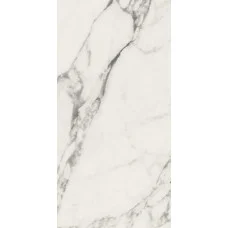 Плитка керамогранитная Panaria Eternity Arabesque 300X600Х9.5мм гладкая/глянцевая PGVEN05