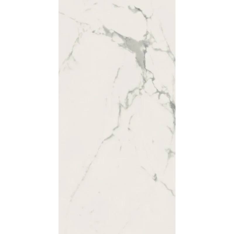 Плитка керамогранітна Panaria Eternity Statuario white 600X1200Х9.5мм гладка/глянсова PGXEN25