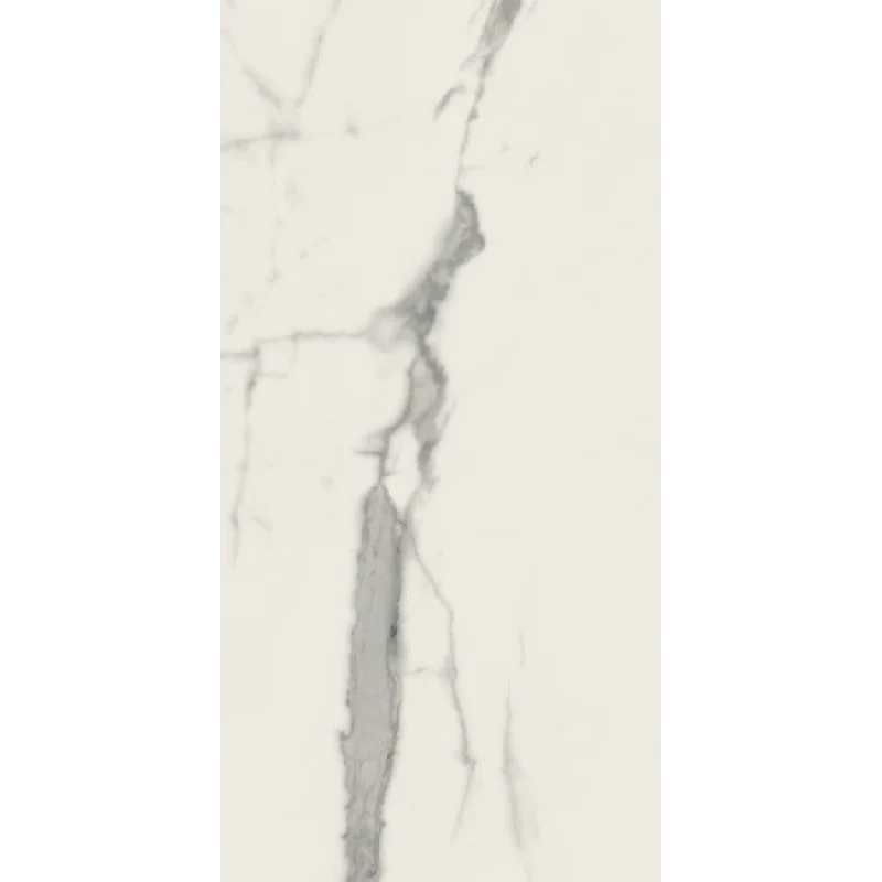 Плитка керамогранітна Panaria Eternity Statuario white 600X1200Х9.5мм гладка/глянсова PGXEN25