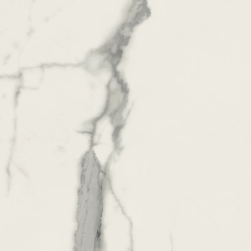 Плитка керамогранитная Panaria Eternity Statuario white 600X600Х9.5мм гладкая/глянцевая PGWEN25