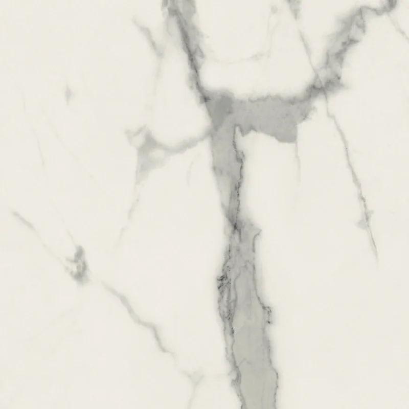 Плитка керамогранитная Panaria Eternity Statuario white 600X600Х9.5мм гладкая/глянцевая PGWEN25