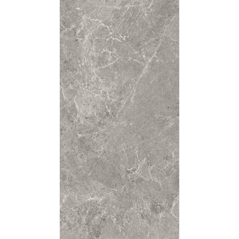 Плитка керамогранітна Cottodeste Advantage skin Silver 500x1000х3,5мм Kerlite гладка/матова EK9AD30