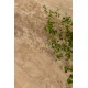 Плитка керамогранитная Cottodeste Woodland Walden 300x2400х6,5мм Kerlite гладкая/матовая wild EK6WL70