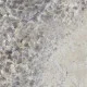 Плитка керамогранитная FMG Marmi select Gem violet 600x600х8мм гладкая/полированная LU668374