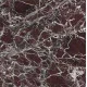Плитка керамогранитная FMG Marmi select Rosso lepanto 600x600х8мм гладкая/матовая P668550