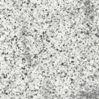 Плитка керамогранітна FMG Neo granito Kristal 600x600х10мм структурна/матова B66644