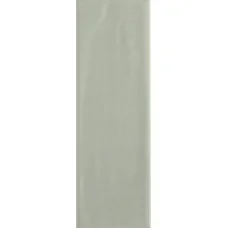 Плитка RAKO Compila Mint 98x298x8мм гладкая/глянцевая, для стены GARJD862