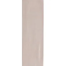 Плитка RAKO Compila Nude 98x298x8мм гладкая/глянцевая, для стены GARJD860
