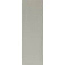 Плитка RAKO Compila Cement 98x298x8мм гладкая/глянцевая, для стены GARJD865